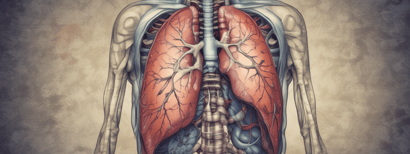 Pleurésies à Liquide Clair - Pneumologie