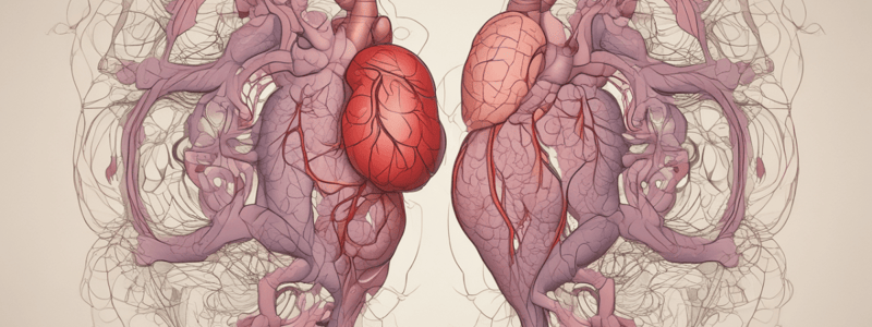 What is Stroke? - A Medical Emergency