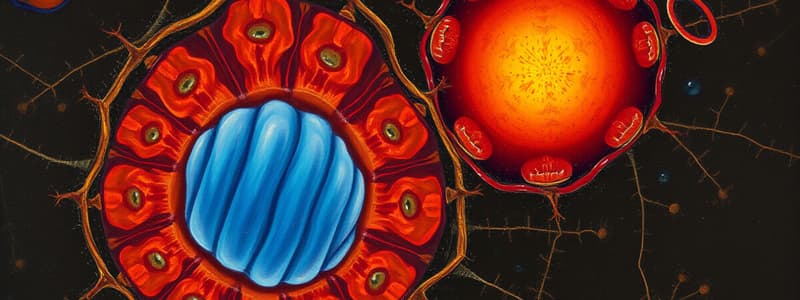 Cell Organelles Overview