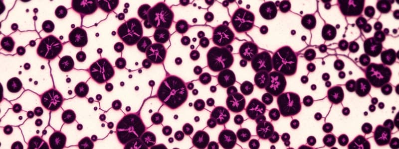 Histology: Stains, Cells and Nuclear Components