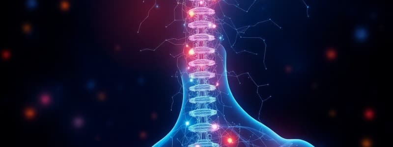 L67. Physiology - Spinal Reflexes