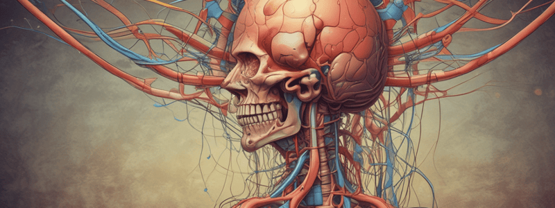 Urinary System: Structure and Functions