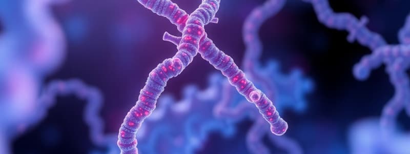 Cell Biology: Chromosomes and Ribosomes