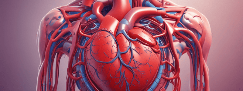 Ch 14 part 1Cardiac Output and Peripheral Resistance Quiz