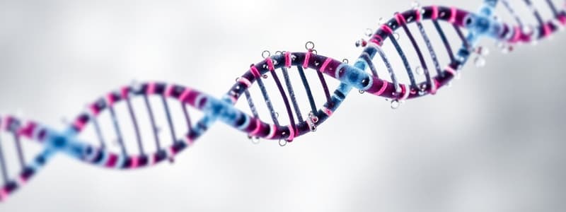 Polymerase Chain Reaction (PCR)