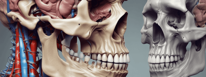 Anatomy of Pterygopalatine Fossa Quiz