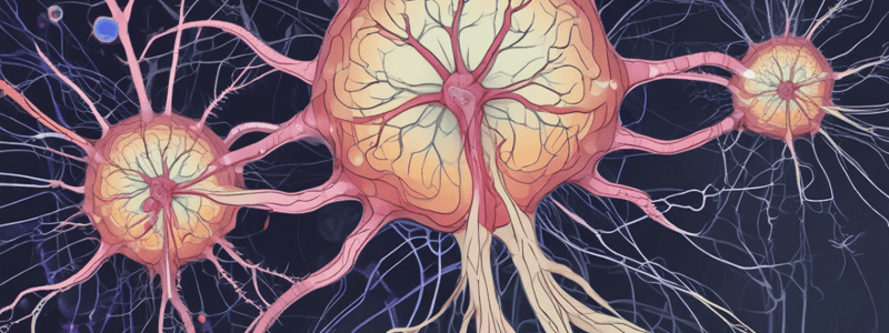 Neurophysiology: Neuron Division and Brain Metabolism