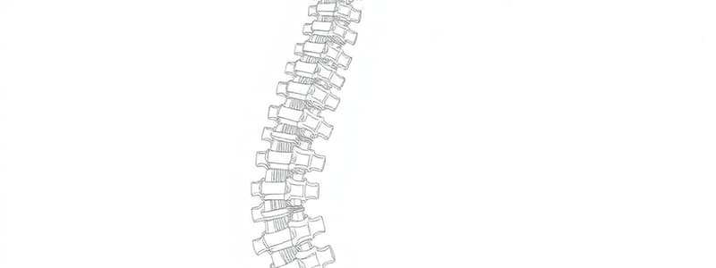 Lesioni del Midollo Spinale e Meccanismi Muscolari (Fisiologia 91)