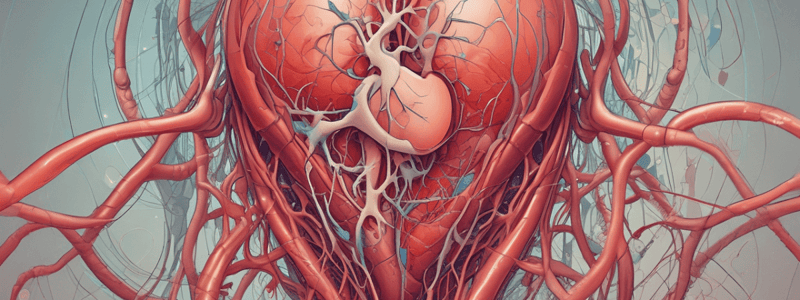 Cardiovascular Physiology: Microcirculation