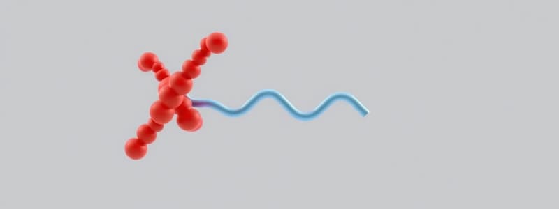 Hemoglobin Structure and Types