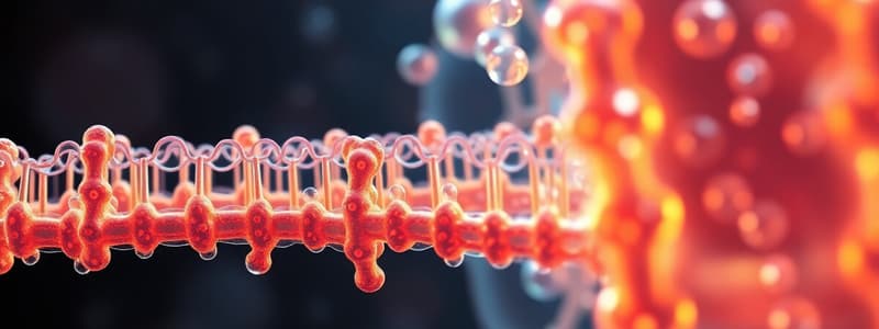 Cell Membrane Structure and Transport