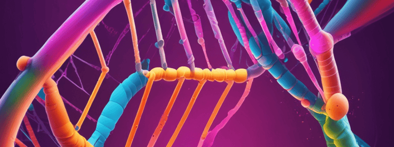 DNA Profile Analysis Using PCR Amplification and Agarose Gel Electrophoresis