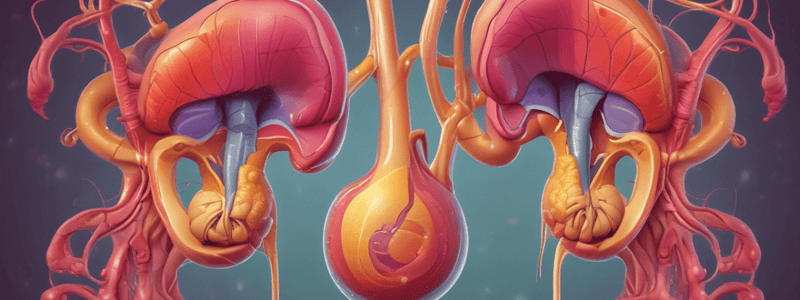 Physiology of Urine Formation: Tubular Sunction Quiz