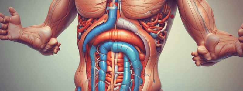 Medidas para el dolor abdominal