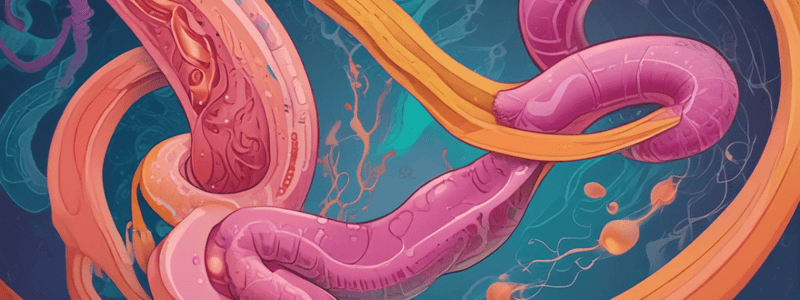 Pathology of the Gastrointestinal Tract