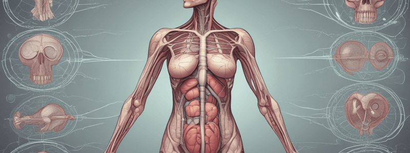 Reproductive System Chapter 27: Male Reproductive System