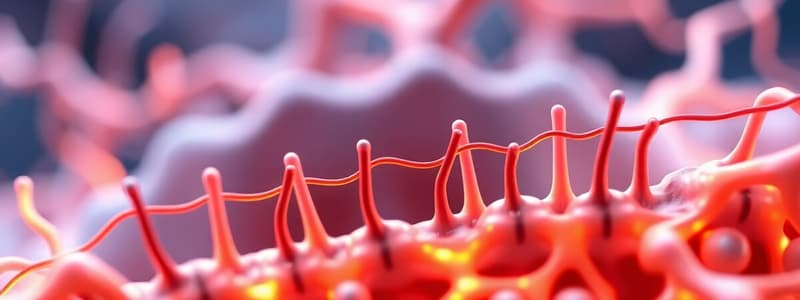 Introduction to Resting Membrane Potential