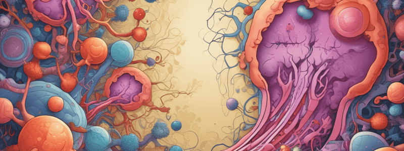 Neoplasias y Enfermedades Sistémicas en Riñón