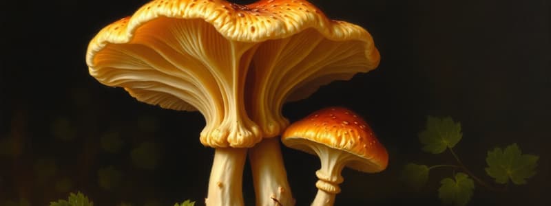 Chapter 5.3 Fungi Characteristics and Morphology HARD