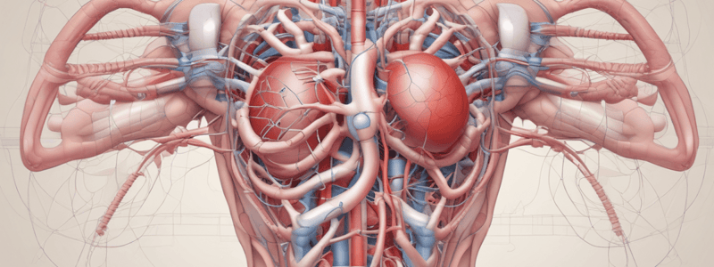 Aortic Reconstruction and Arterial Catheter Placement