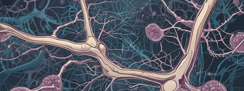 Nervous Tissue Part 2: Glial Cells