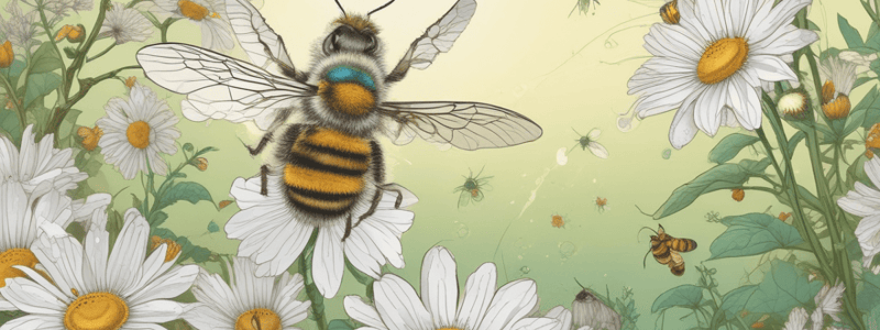 Bees and Wasps Chapter 10.1: Value of Bees in Ecosystems