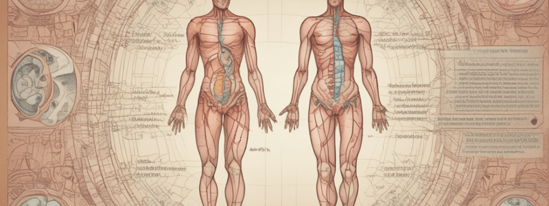 Endocrine System Definition