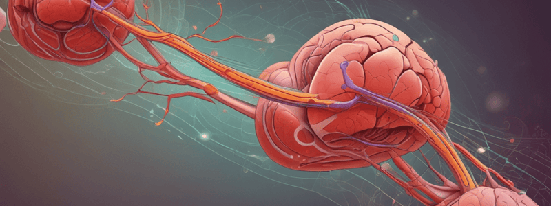 Functions of the Kidney