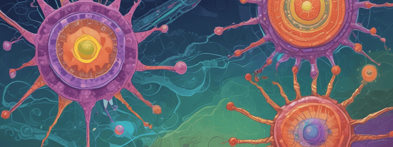 Complement System Functions