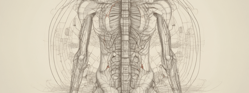 Acupuncture Points: ST4 Location and Needling