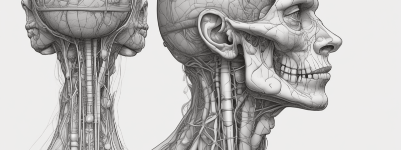 Anatomy True or False Statements