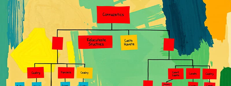 Characteristics of Organizations