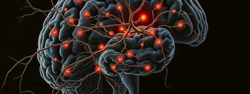 Human Biology: Central Nervous System