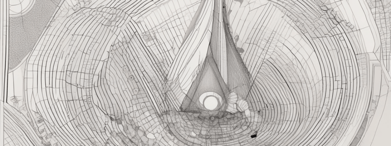 Metric Measurement and Scale Drawing