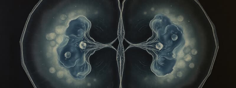 Cell Division: Mitosis and Meiosis