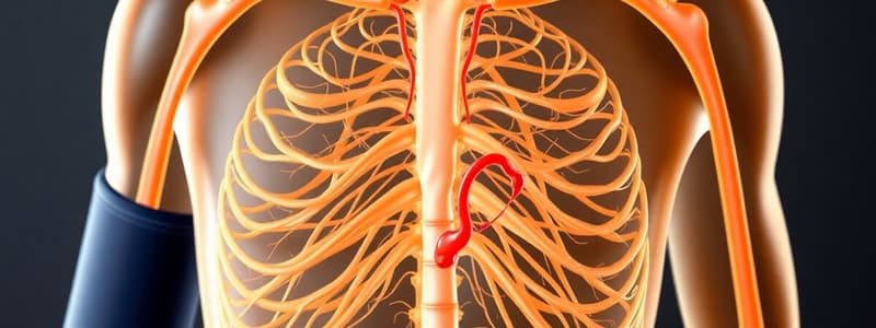 Guyton and Hall Physiology Chapter 18 - Nervous Regulation of the Circulation