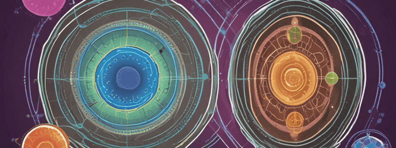 Cell Cycle Regulation