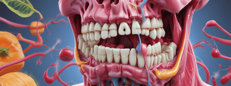 Appetite Control and Oral Cavity Anatomy