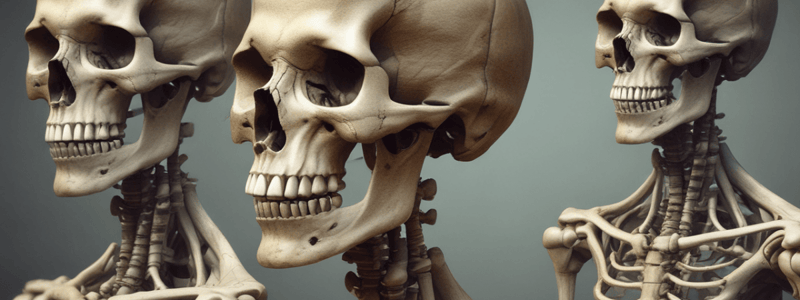 Effects of Aging on Bone Structure