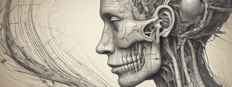 Cranial Nerves in Neuroscience