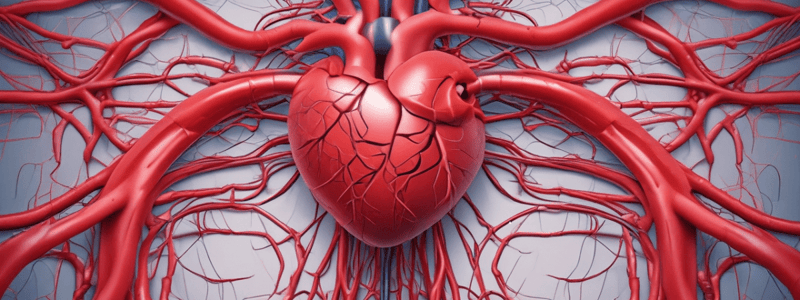 7)Cardiovascular System Circuitry Quiz