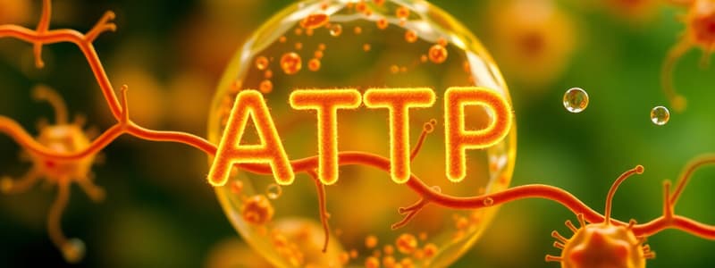 Microbial Metabolism: Catabolism and Anabolism