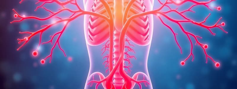 Autonomic Nervous System Overview