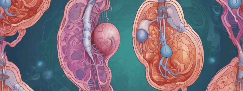 Biology: Reproductive Process and Embryo Development