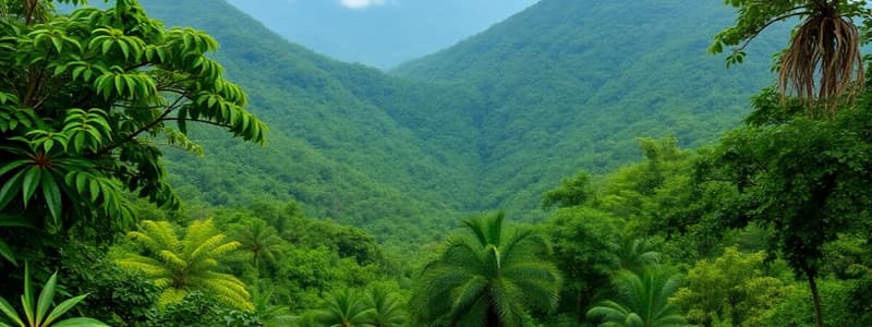 Mount Lico Rainforest Discovery Quiz