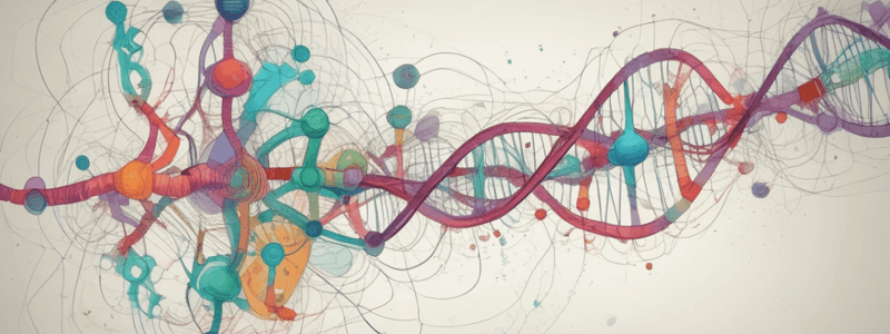 T.13 Regulación durante la elongación de la transcripción