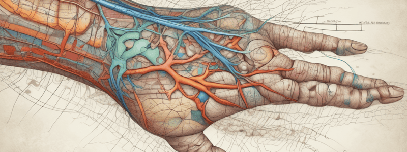 Dermatomes for Legs, Arms, and Trunk