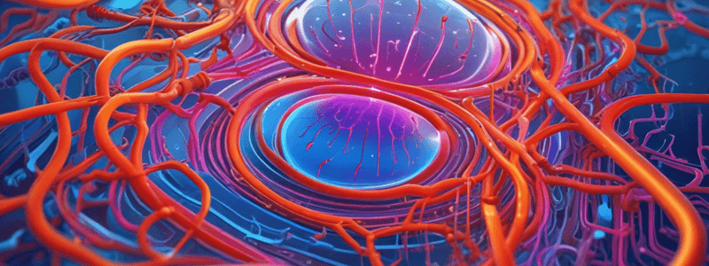 V09_Electroosmosis Mechanism in Microfluidics