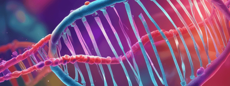 Function of Nucleic Acids