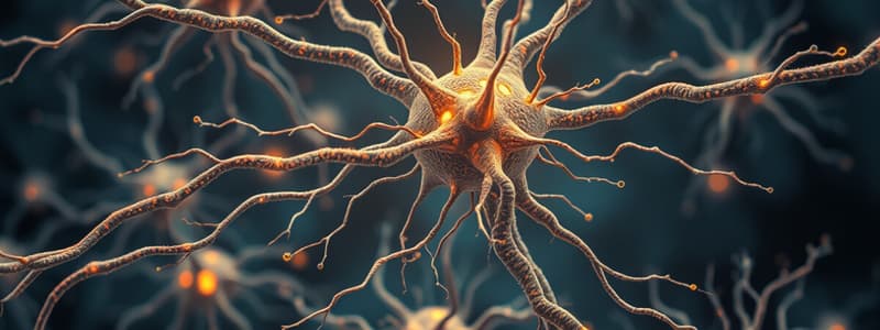 Psychology Chapter 2: Neurons and Neurotransmitters